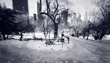 CentralParkNYC2.jpg
