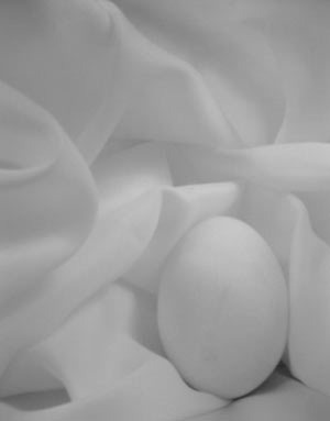 egg-3.jpg
