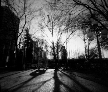 Pinhole_tree_shadow.jpg