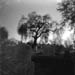Todd/pinhole_cemetary