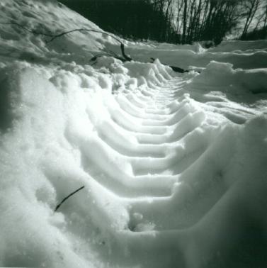Tire_Tracks_in_Snow.jpg
