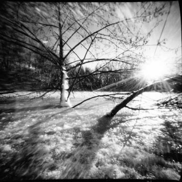 czuther_silvester 2000_5.jpg