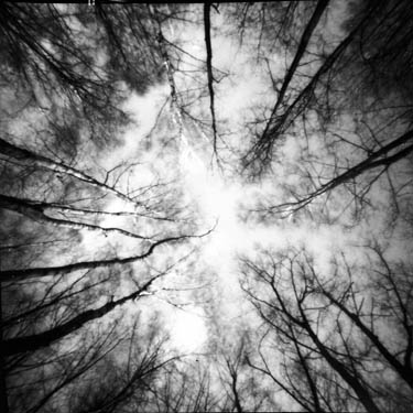 czuther_silvester 2000_7.jpg