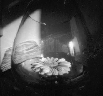 flower_in_a_glass.jpg