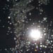 cosmos_pinhole3icon.jpg