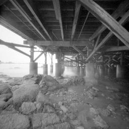 Under the Pier